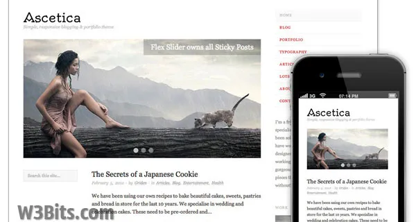 Ascetica WordPress Theme