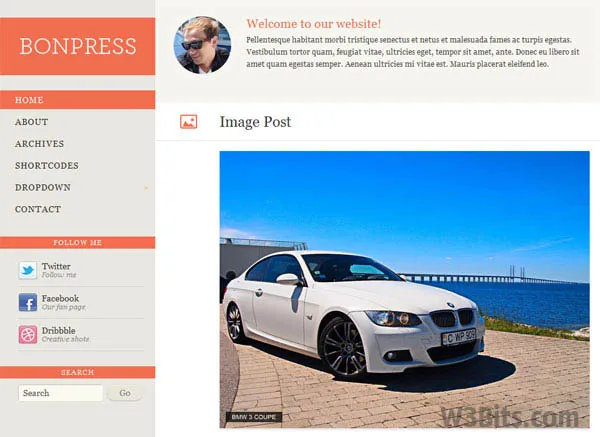BonPress Theme for WordPress BonPress WordPress Theme
