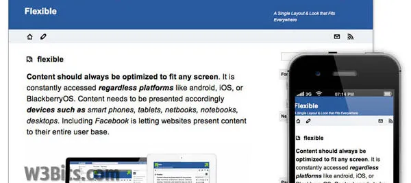 Flexible WordPress Theme