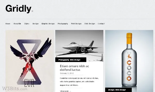 Gridly WordPress Theme