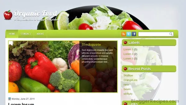 Organic Food Blogger Template Organic Food Blogger Templates