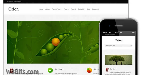 Orion WordPress Theme