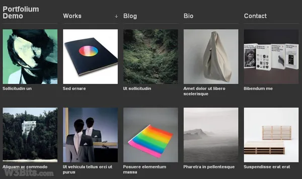 Portfolium WordPress Theme