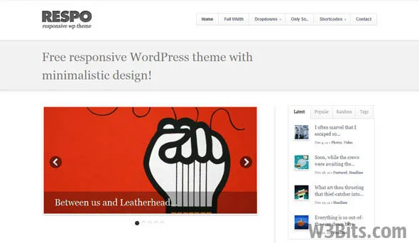 Respo Theme for WordPress Respo WordPress Theme