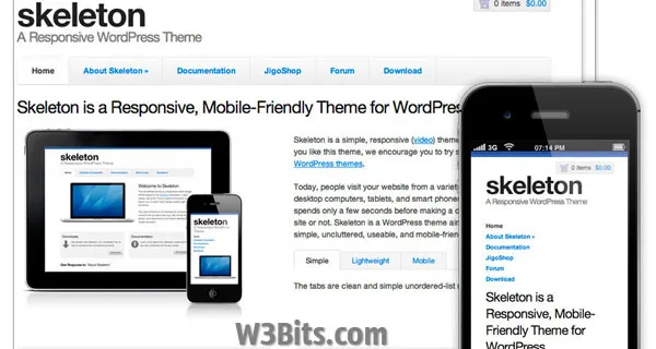 Skeleton WordPress Theme
