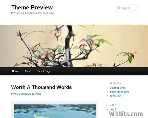 Twenty Eleven Theme Twenty Eleven Theme
