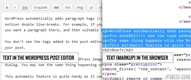 Auto paragraphs added by wpautop()
